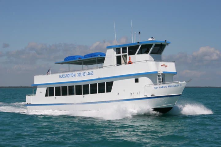 12. Glass Bottom Boat Cruise - Image 12