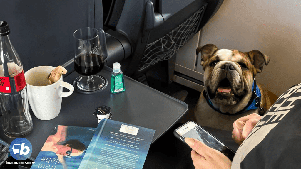 Dienstleistungen der Deutschen Bahn Dienstleistungen der Deutschen Bahn