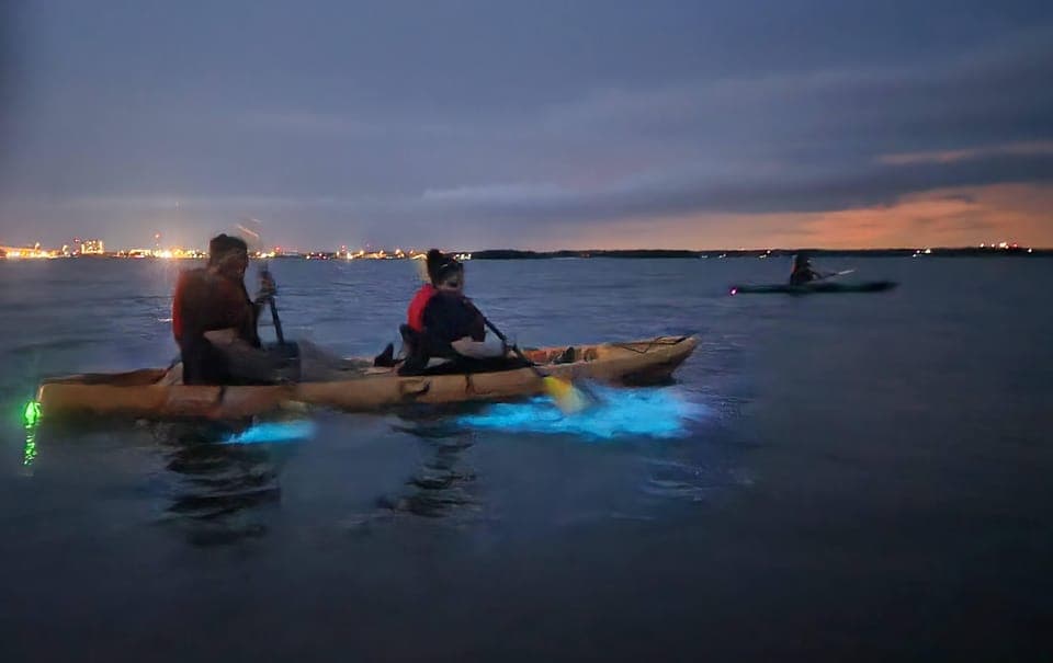 Bioluminescence Kayak Adventure Gallery Image 2