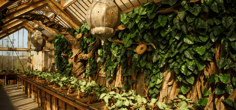 Harry Potter Studio Tour and Oxford Day Trip Gallery Image 3