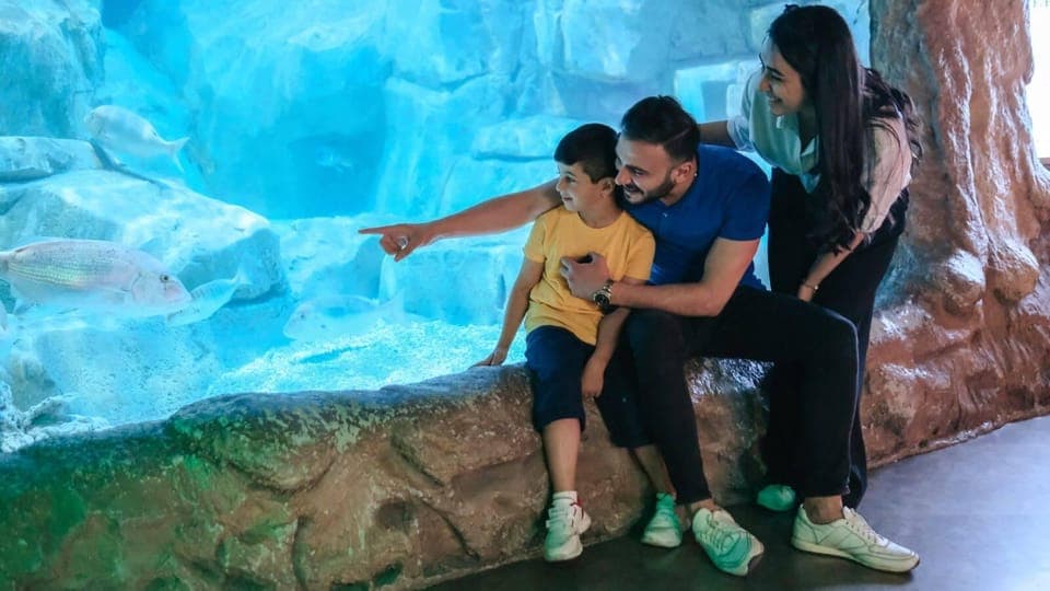 7. Hop-On Hop-Off Bus & Aquarium Tour - Image 7