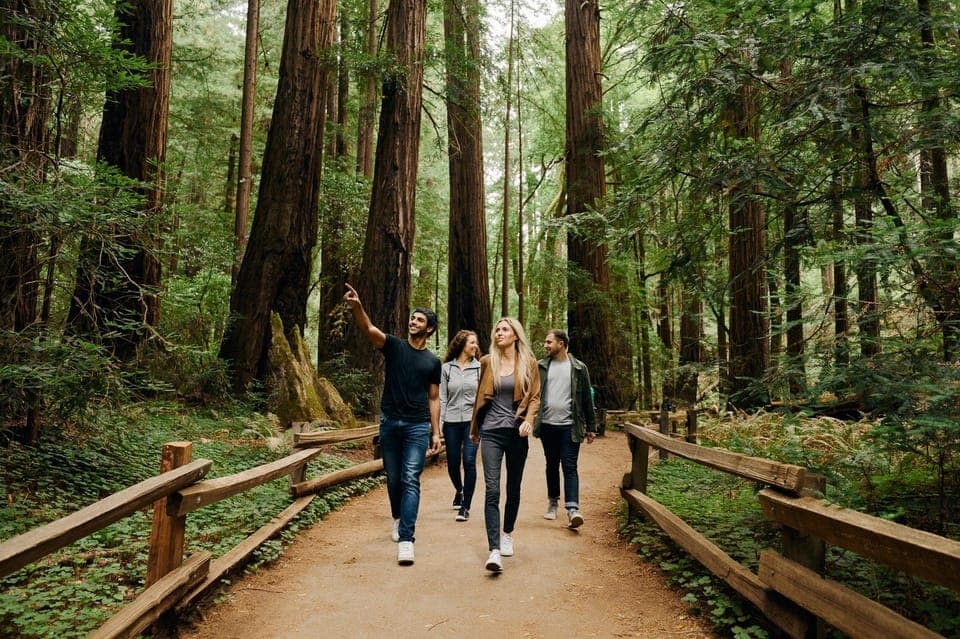 10. Muir Woods & Sausalito Tour w/Alcatraz Option - Image 10