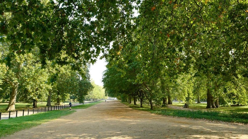 24-Hour Hop-On Hop-Off Bus Pass Gallery Image 2