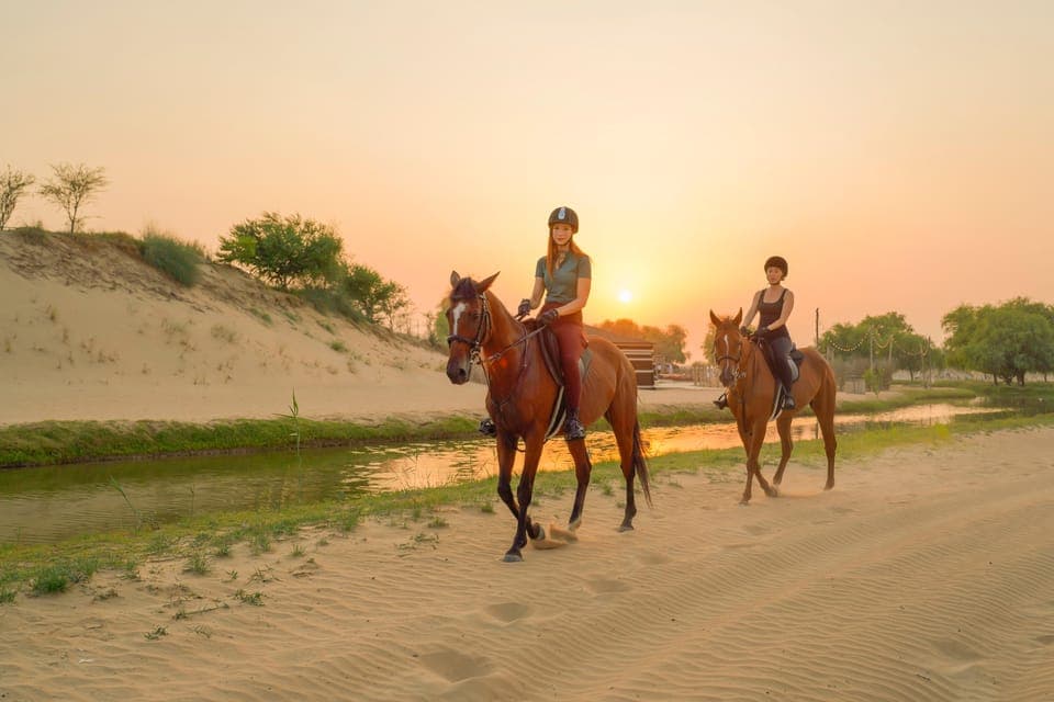 Al Marmoom Oasis Horse Riding Experience with Snack Gallery Image 2