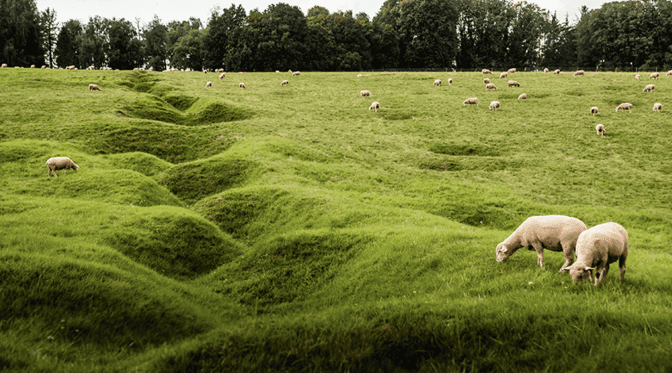5. From Paris : WWI Somme Battlefields with Licensed Guide - Image 5