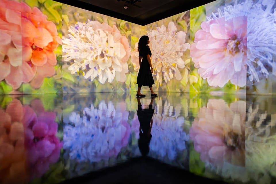 Select Pass: Bus Tour, Celebrity Homes Cruise and Artechouse Gallery Image 4