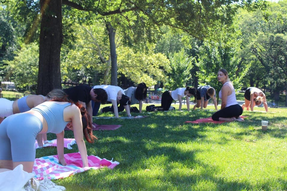 Central Park: Highest Rated Yoga Class in New York City! Gallery Image 4