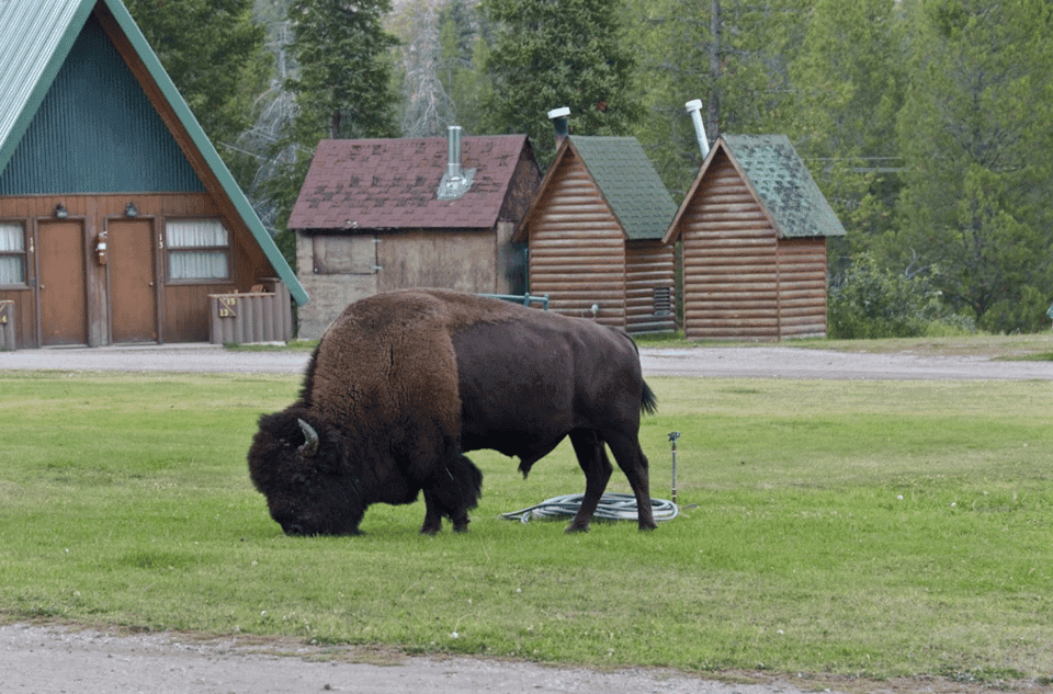 43. 5-Day Tour to Salt Lake City with Accommodation - Image 43