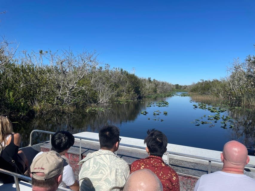 Everglades Eco Experience with Airboat Ride Gallery Image 3