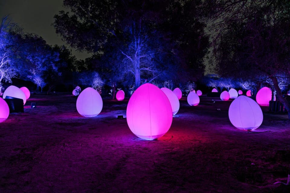 Abu Dhabi Full day Guided Trip with Top Attractions Gallery Image 2