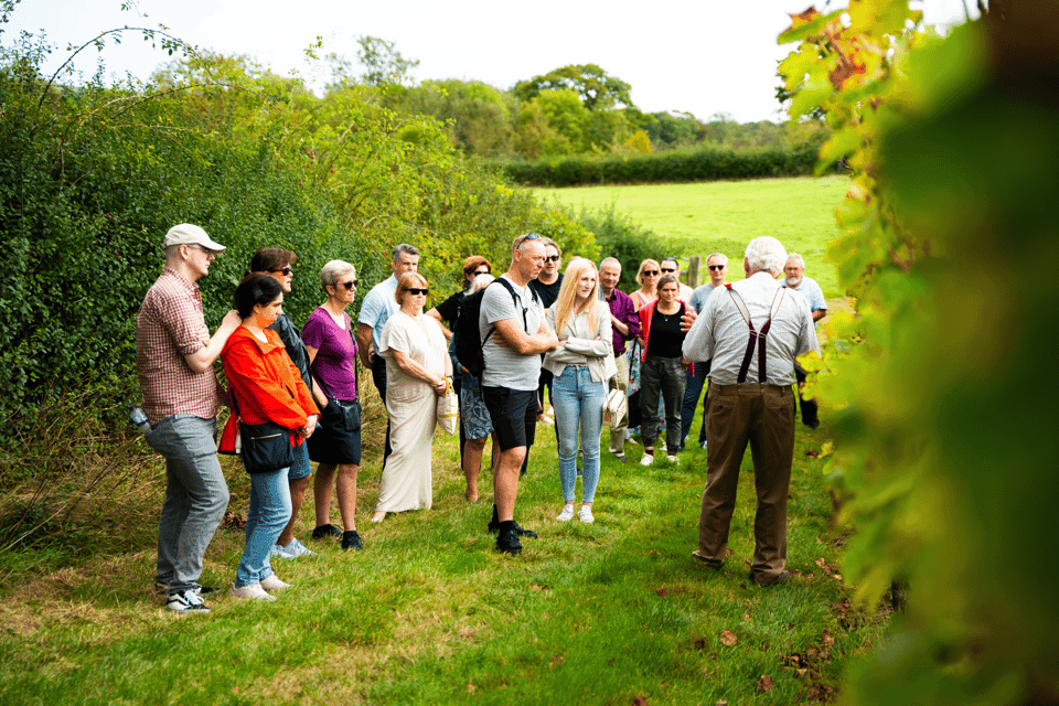 From London: Vintage Bus Wine Tour with Return Train Tickets Gallery Image 2