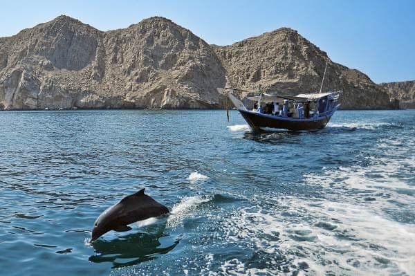 17. Musandam Khasab Full-Day Cruise with Transfers & Lunch - Image 17