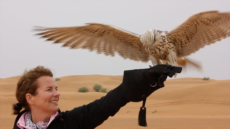 31. Dubai Falconry Safari - Image 31