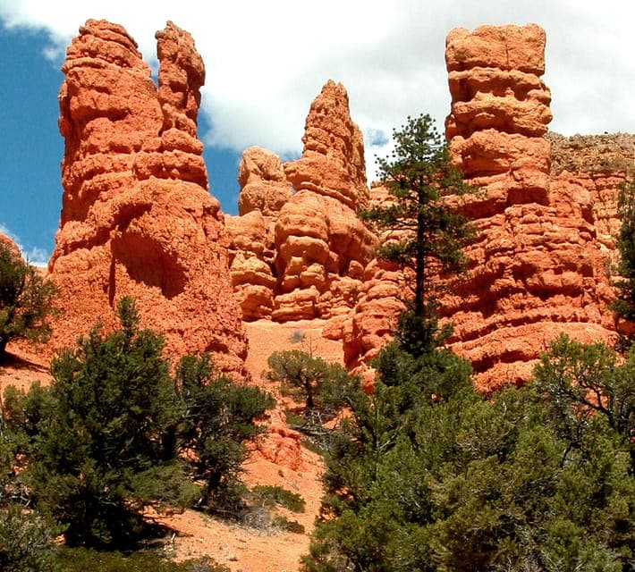 From Las Vegas: Bryce Canyon and Zion Park Combo Tour Gallery Image 2
