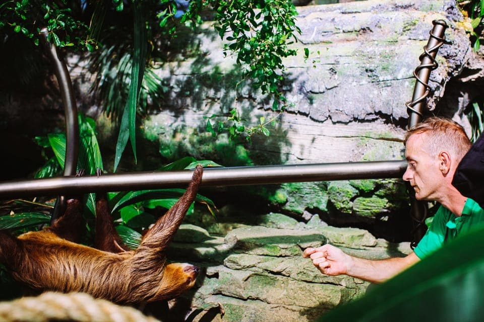 The Green Planet - Dubai's Unique Indoor Rainforest Gallery Image 4
