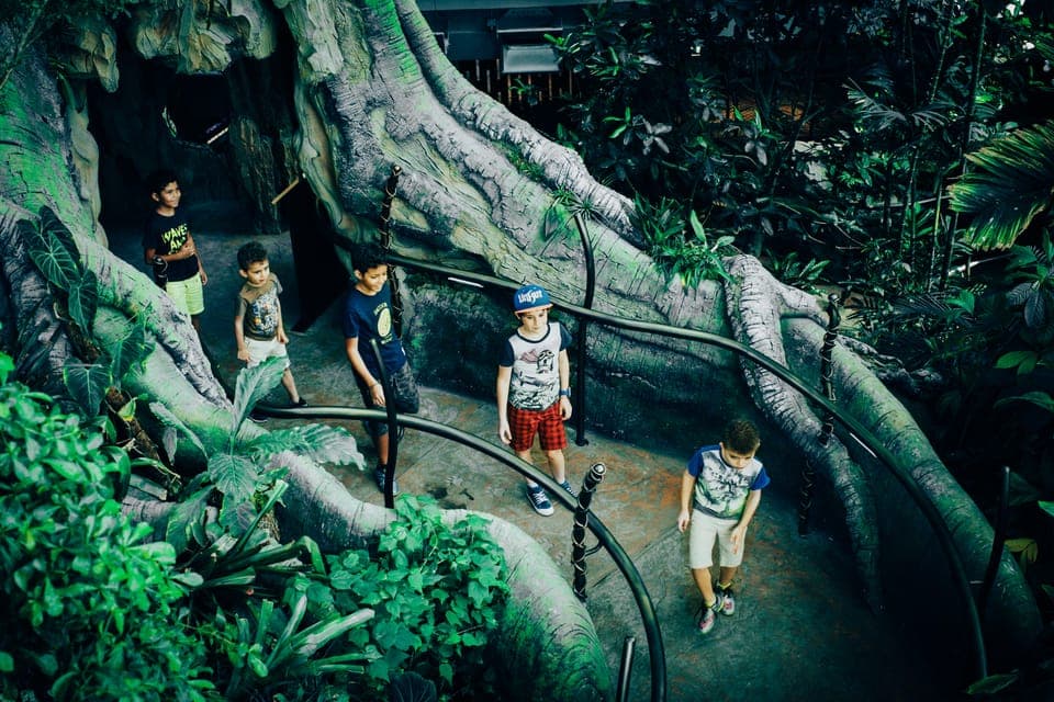 The Green Planet - Dubai's Unique Indoor Rainforest Gallery Image 2