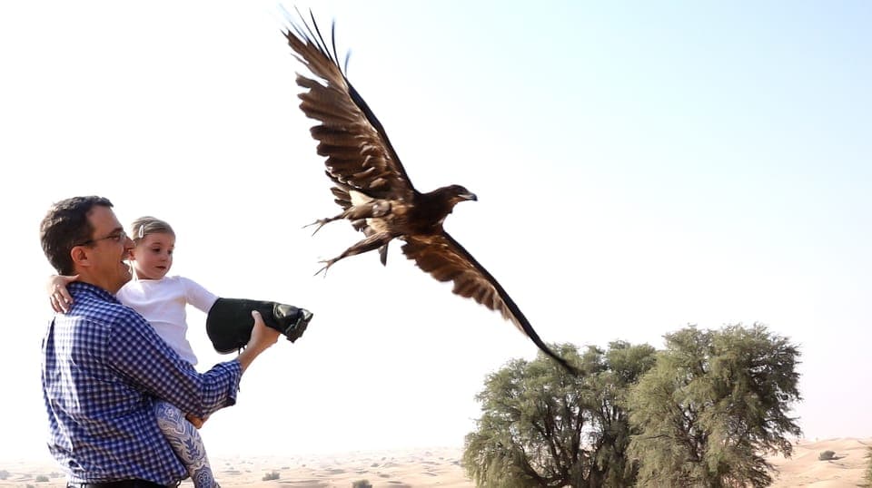 Private Falconry Safari - Image NaN