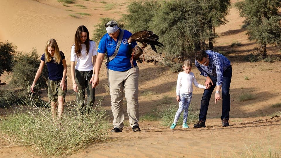 Private Falconry Safari Gallery Image 2