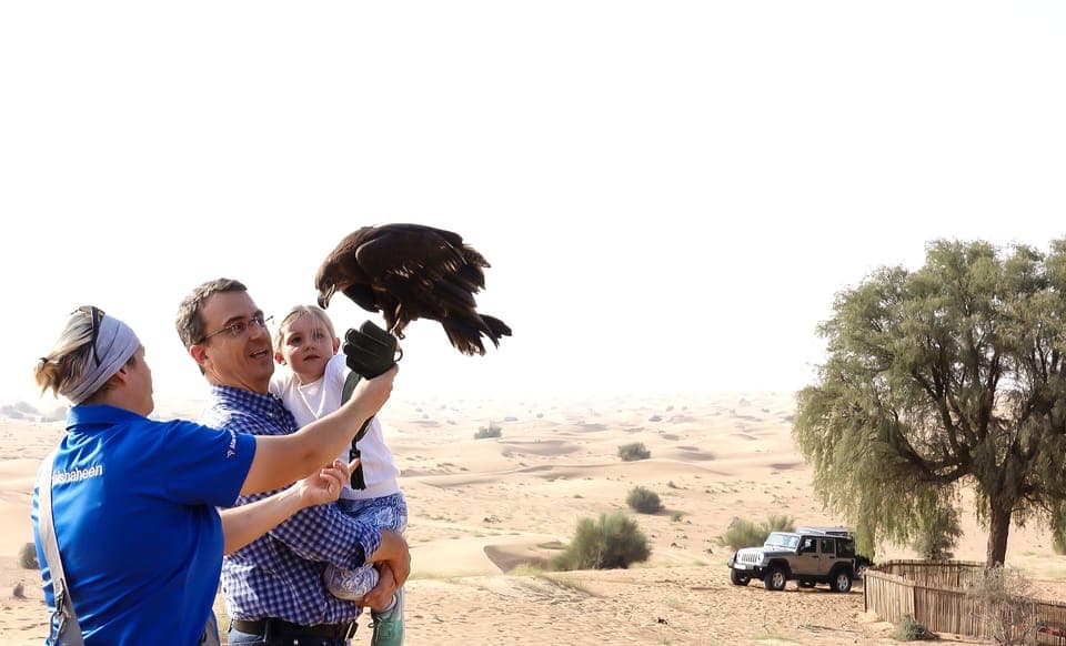 Private Falconry Safari Gallery Image 3