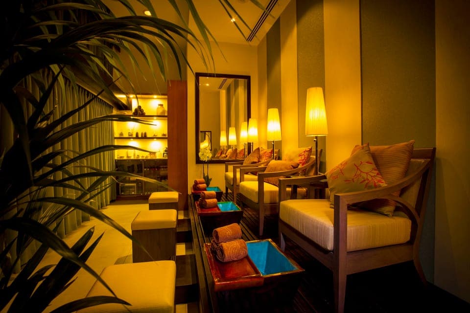 Arabian Dead Sea Scrub - Image NaN