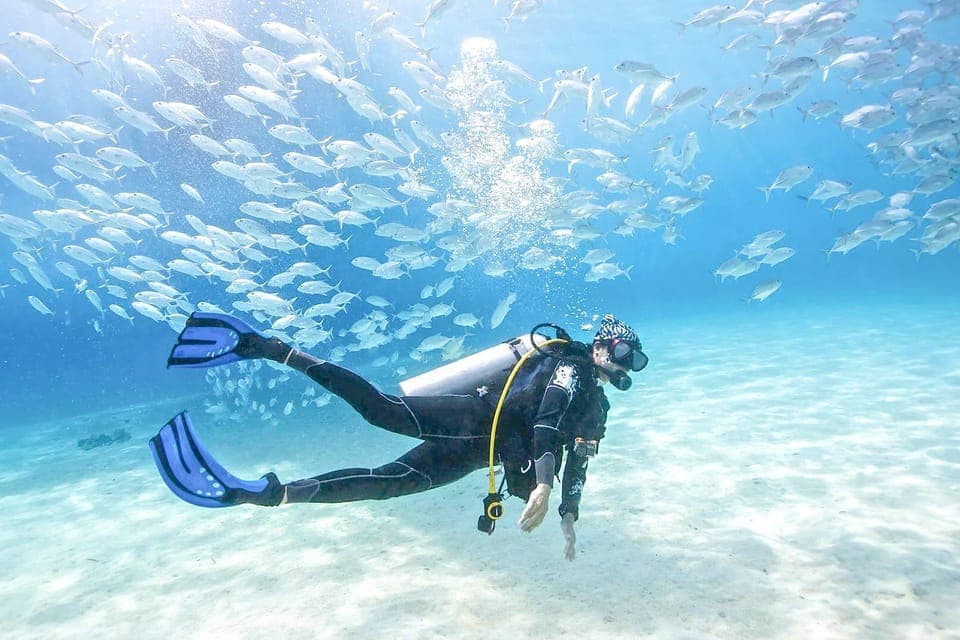 PADI Basic Scuba Diving Course - Image NaN