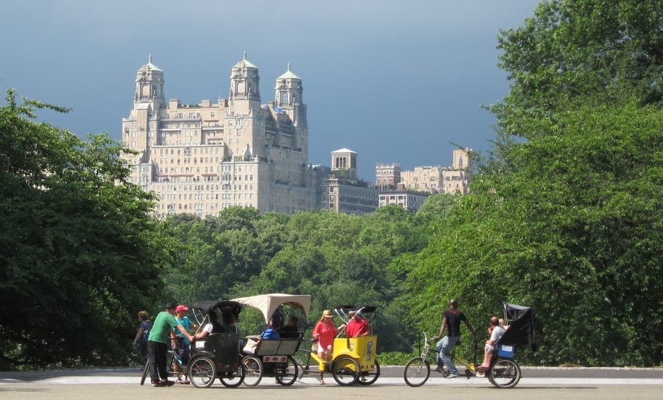 Deluxe 1.5-Hour Central Park Pedicab Tour Gallery Image 4