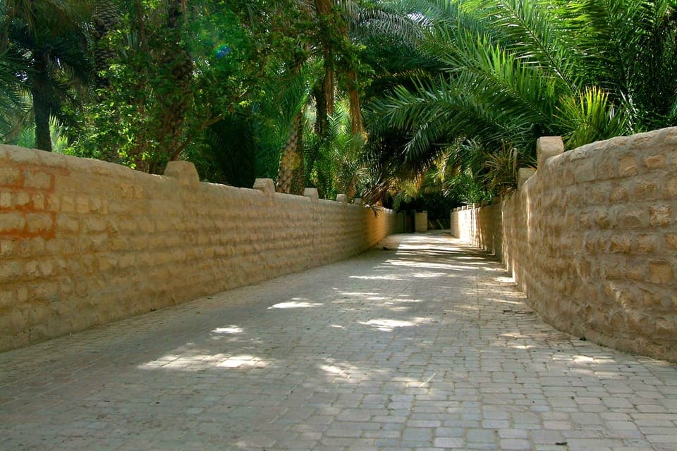 From Dubai: Al Ain Garden City Full-Day Sightseeing Tour Gallery Image 3