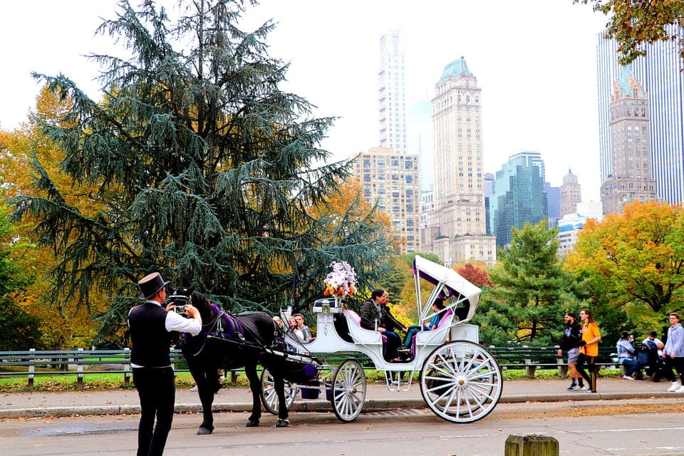 Central Park: Short Horse Carriage Ride (Up to 4 Adults) Gallery Image 4