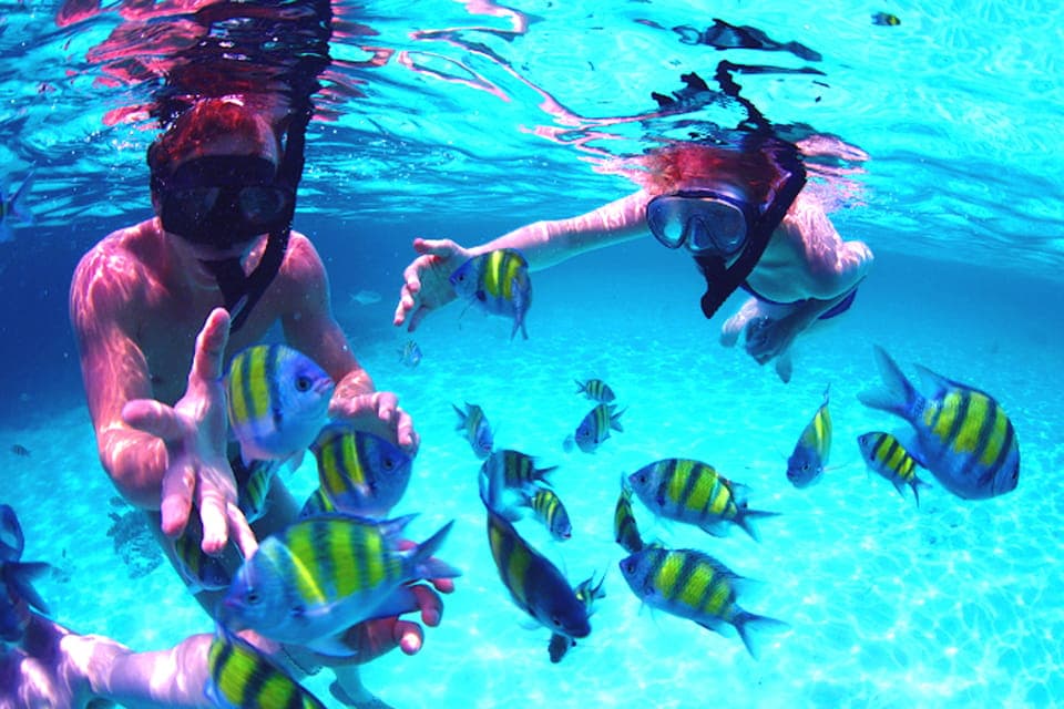 From UAE: Musandam Khasab Dolphin Watching Trip with Lunch - Image NaN