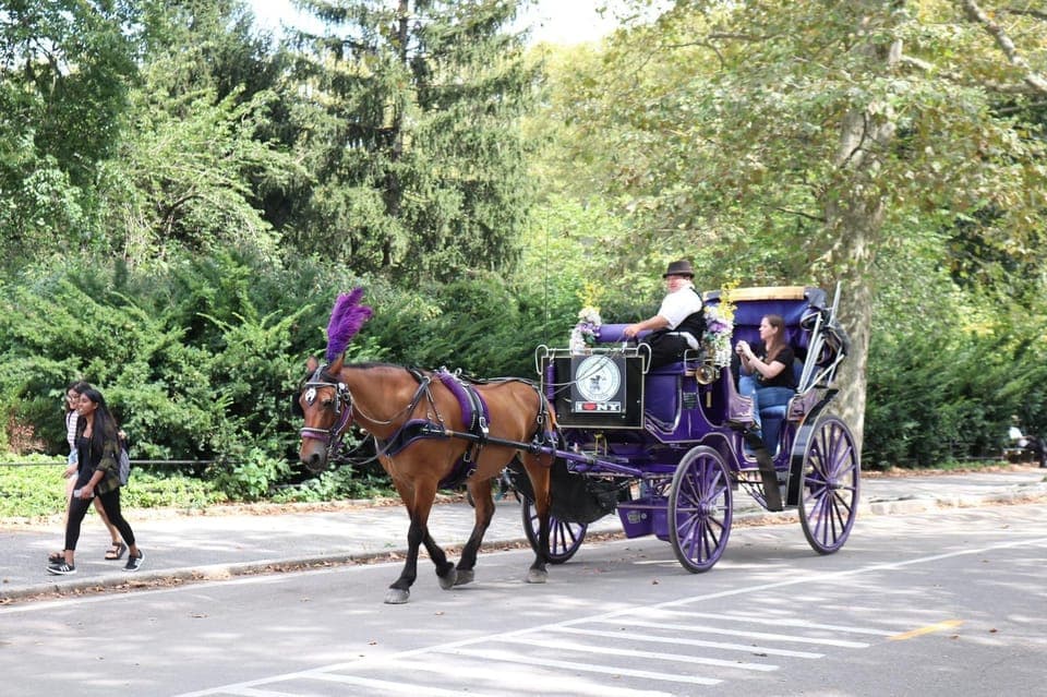 New York Horse Carriage Ride in Central Park (65 min) Gallery Image 1