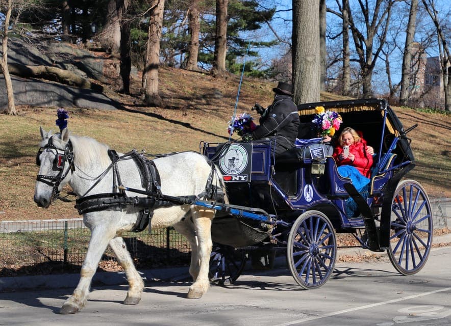 New York Horse Carriage Ride in Central Park (65 min) Gallery Image 3