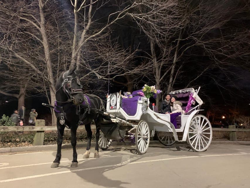 New York Horse Carriage Ride in Central Park (65 min) Gallery Image 4