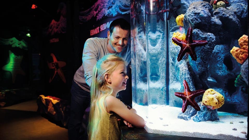 SEA LIFE London & DreamWorks Shrek's Adventure: Combo Ticket Gallery Image 4