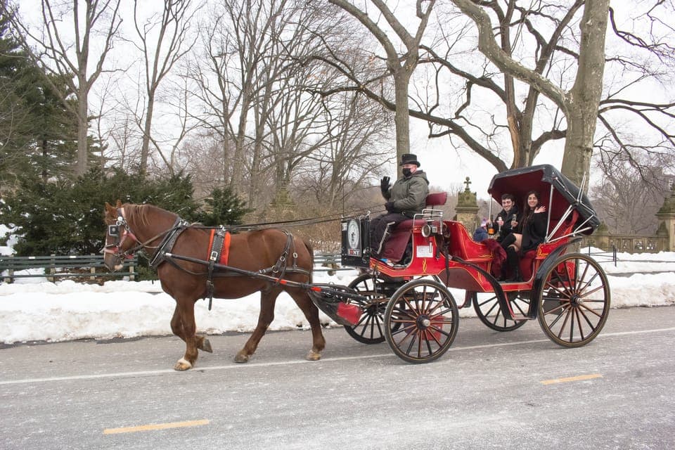 New York Horse Carriage Ride in Central Park (65 min) Gallery Image 2