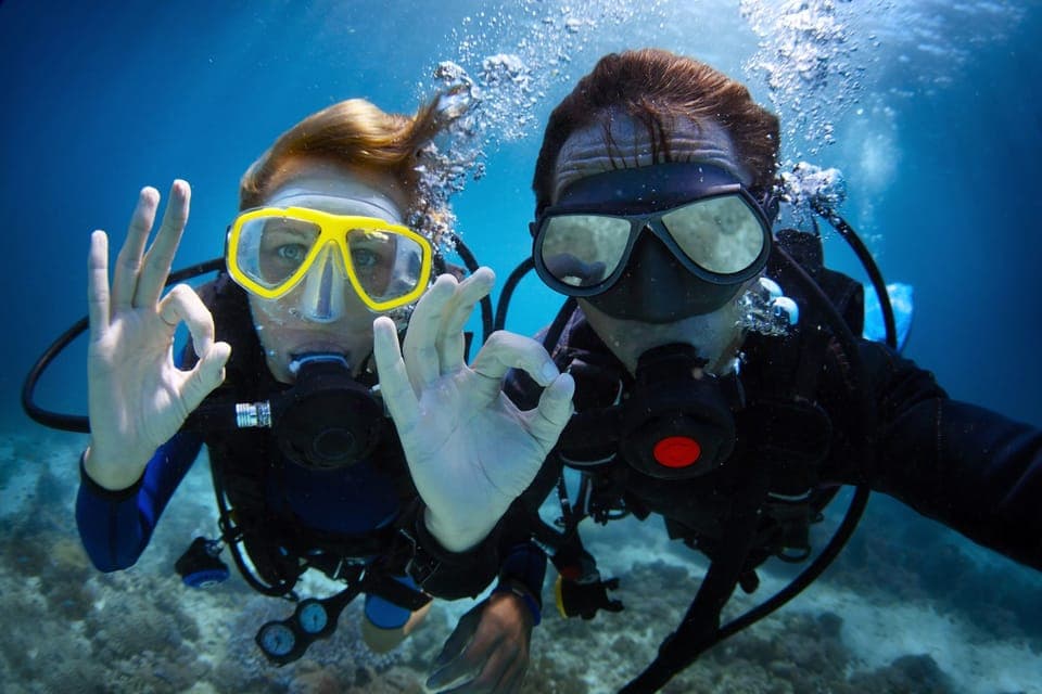 3. PADI Discover Scuba Diving - Image 3