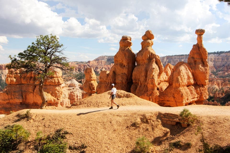 31. Bryce Canyon & Zion National Park: Private Group Tour - Image 31