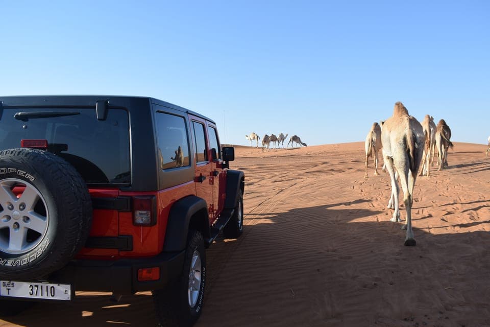Desert Safari, Quad Bike, Camel Ride and Sandboarding Gallery Image 3