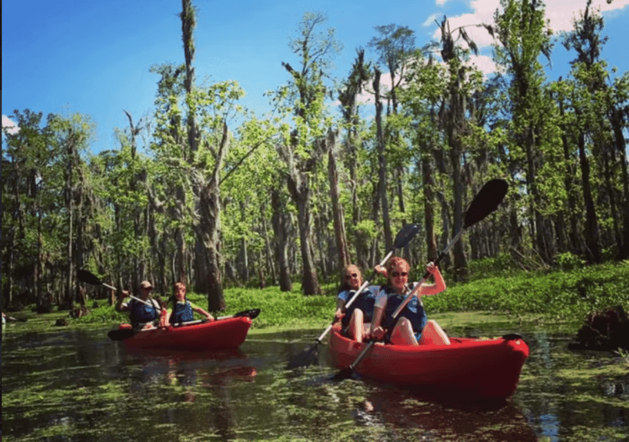 3. Manchac Swamp Wildlife Kayaking Tour - Image 3