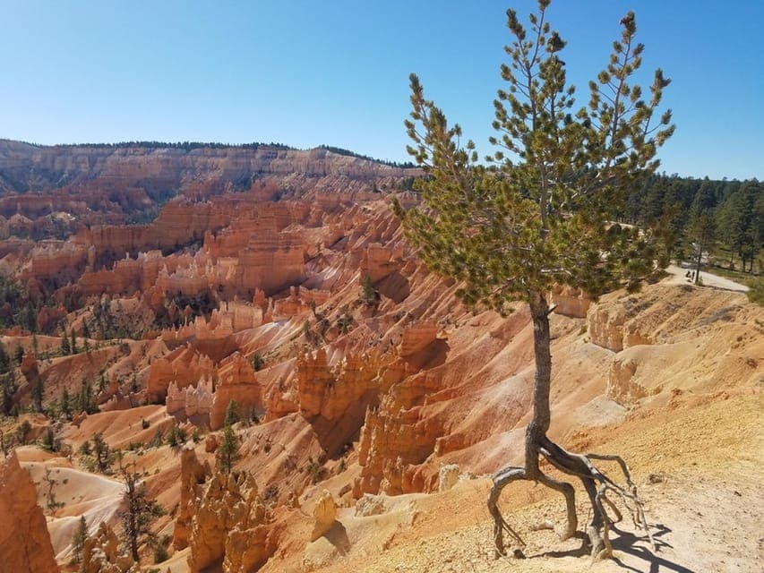 From Las Vegas: Zion and Bryce Canyon Guided Day Tour Gallery Image 2