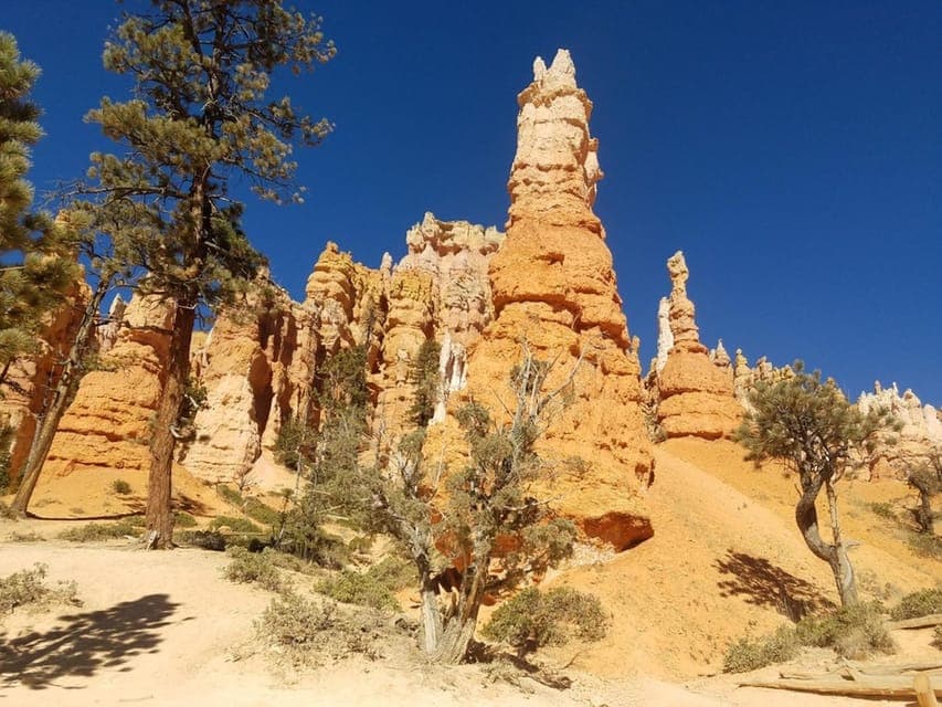 From Las Vegas: Zion and Bryce Canyon Guided Day Tour Gallery Image 3