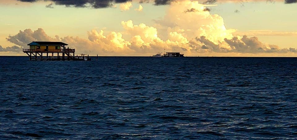 Private Sail Cruise around Miami waterfront Gallery Image 2