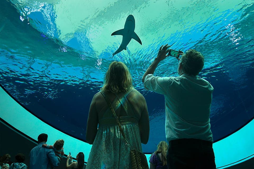 Frost Museum of Science and Planetarium Entry Ticket Gallery Image 1