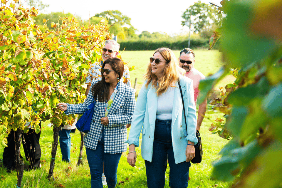 From London: Vintage Bus Wine Tour with Return Train Tickets Gallery Image 3