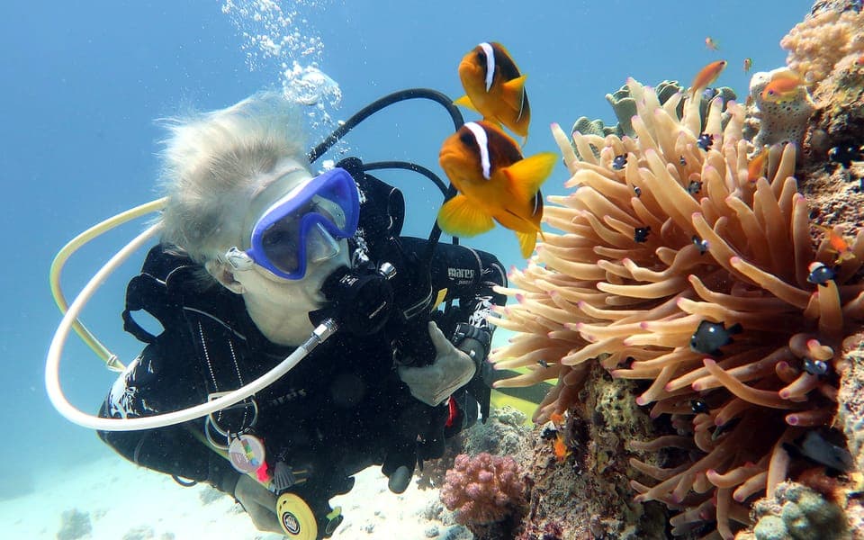 First Diving Experience & BBQ & Overnight Stay in Fujairah Gallery Image 1