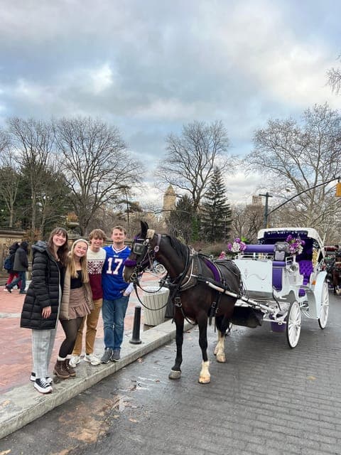 Private Central Park Horse Carriage Ride with Guide Gallery Image 2