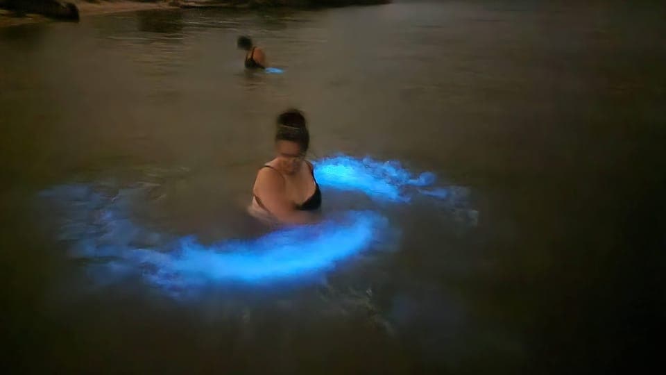 Bioluminescence Kayak Adventure Gallery Image 3