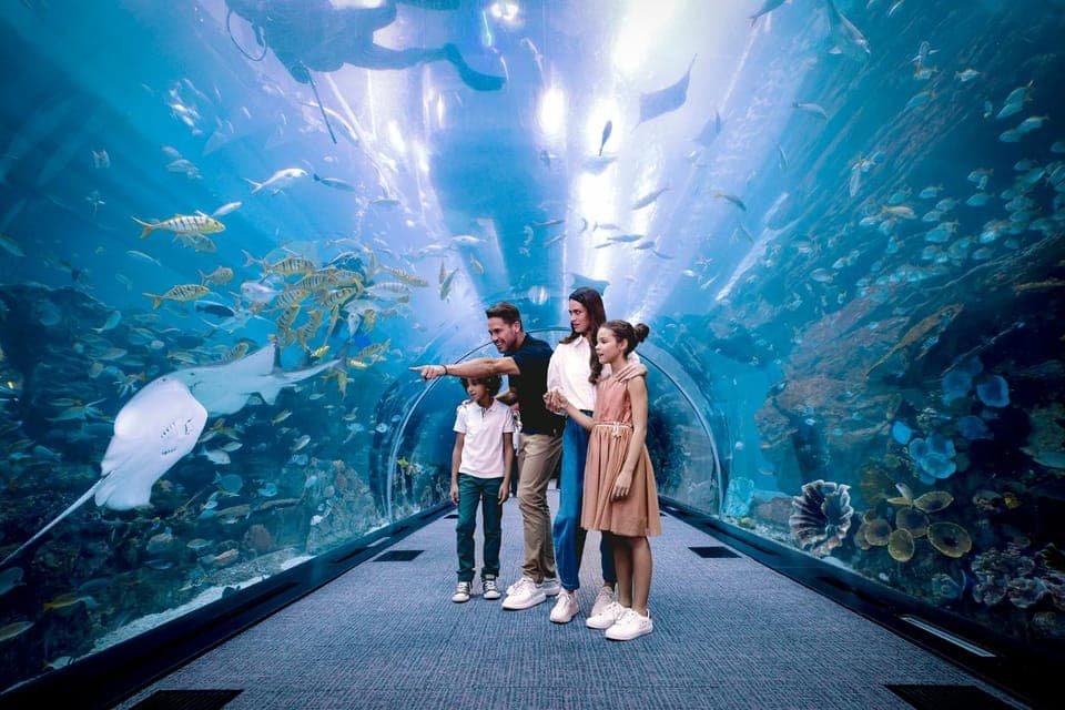 13. Aquarium and Underwater Zoo Experience - Image 13