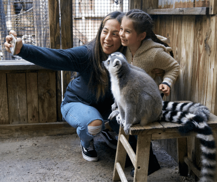 Wild Florida Park Ticket and Gator Shows Gallery Image 4