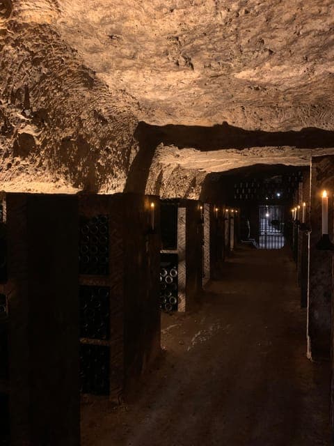 From Paris: Loire Valley Chambord Castle and Wine Tasting Gallery Image 3