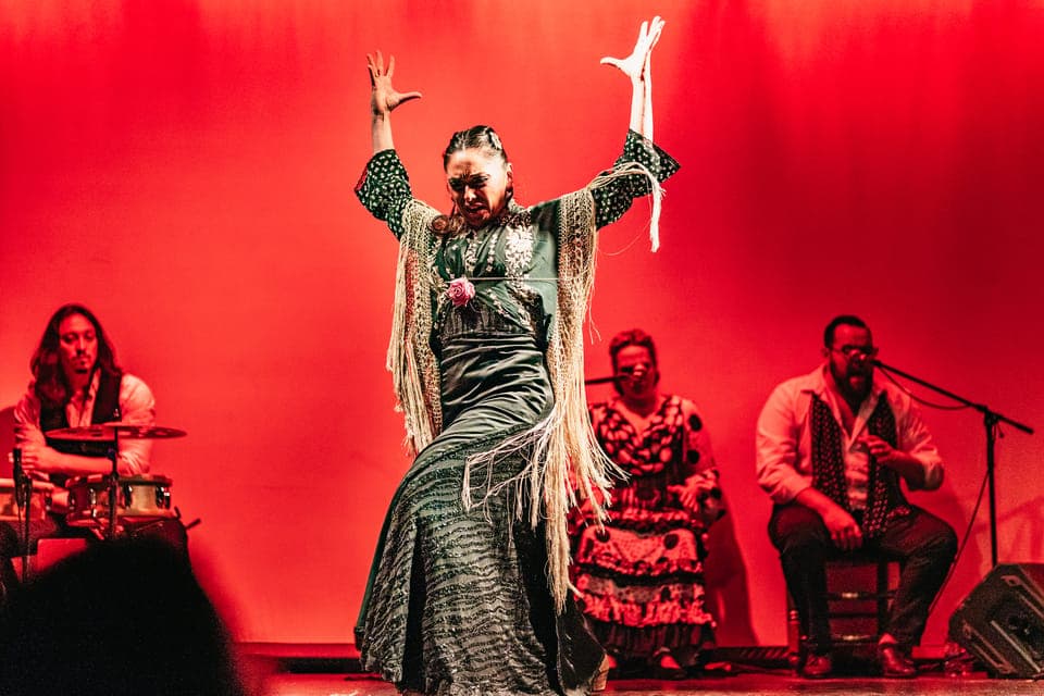 35. Flamenco Show at the Theater - Image 35